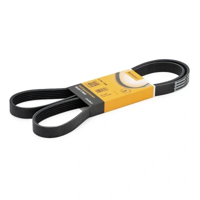 Bilde av CONTITECH 6PK1548 Kileribberem 1548 6 BMW: 5 Touring, Sedan, 1 Hatchback, VOLKSWAGEN: Golf 4, New Beetle Bora Sedan