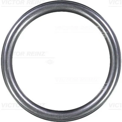 Bilde av REINZ 40 76313 10 Tetningsring