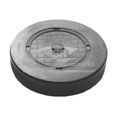 Bilde av 3RG 80660 Plugg, vippearm montasjehull