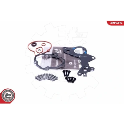 Bilde av ESEN SKV 18SKV801 Vakuumpumpe reparasjonssett AUDI: A4 B7 Avant, A3 Sportback, B6 VOLKSWAGEN: Caddy 3, Golf 5, Polo IV Hatchback