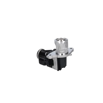 Bilde av Egr ventil alfa romeo, fiat, lancia, opel, vauxhall OE 55207921, 55216292, 55252380