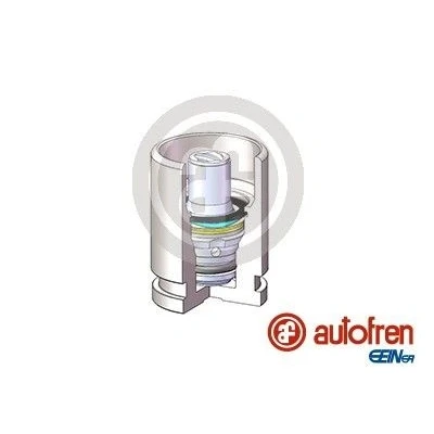 Bilde av AUTOFREN SEINSA D025698K Stempel, bremseklave