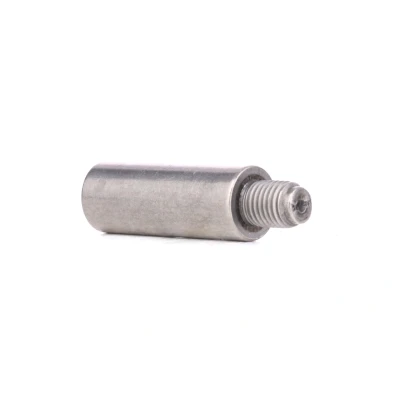 Bilde av ATE 11.8171 0096.1 Styrebolt 16 MERCEDES BENZ: GL, AUDI: A8 D4, A6 C7 Allroad, VOLKSWAGEN: Transporter 5, Multivan 5 (7HM