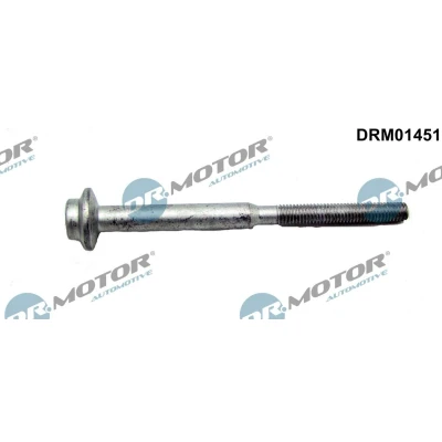 Bilde av DR.MOTOR AUTOMOTIVE DRM01451 skrue, innsprøytningsdyseholder VOLKSWAGEN: Passat B8 Variant, Polo V Hatchback, Multivan 6, AUDI: A3 Sportback