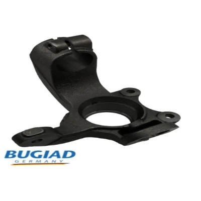 Bilde av BUGIAD BSP25321 Styrespindel framaksel venstre FORD: Transit Connect Mk1 Van