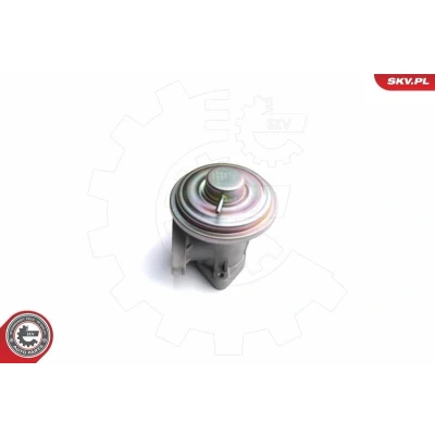 Bilde av ESEN SKV 14SKV098 EGR Ventil pneumatisk FORD: MONDEO 3 Kombi