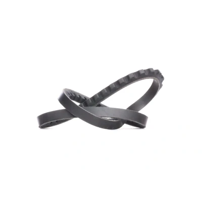 Bilde av Drivreim, citroën,daewoo,renault,vw, 037145271, 0855931900, 4295780, 5445113L, 5490426L, 5490426U, 6001002611, 75492265, 75492285, 77002