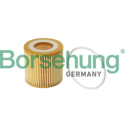 Bilde av Borsehung B12219 Oljefilter Filterinnsats VOLKSWAGEN: Polo IV Hatchback, V SKODA: Fabia 2, Roomster, Rapid Spaceback, SEAT: Ibiza 3