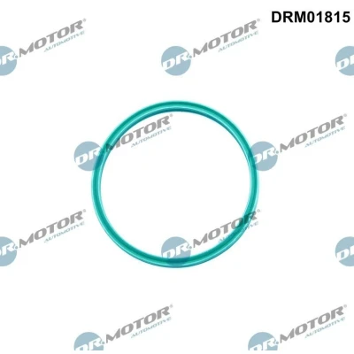 Bilde av DR.MOTOR AUTOMOTIVE DRM01815 Tetningsring, laseluftslange VOLKSWAGEN: Transporter 5, Passat B5 GP Stasjonsvogn, Touran I, AUDI: A3 Sportback