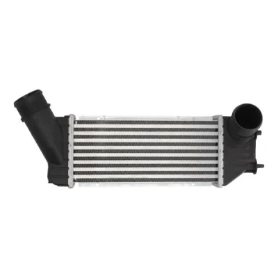 Bilde av THERMOTEC DAC001TT Ladeluftkjøler Aluminium, plast 300 X 127 64 mm