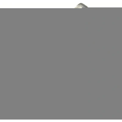 Bilde av TRW BDA996 Bremsecaliper Feste Holder