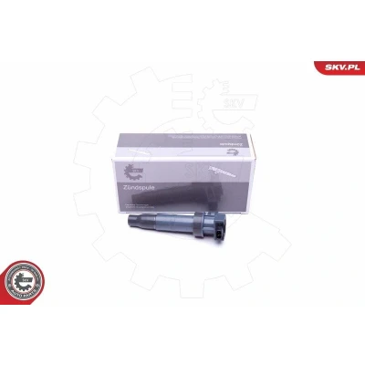 Bilde av Tennspole, hyundai,kia, 273013C000