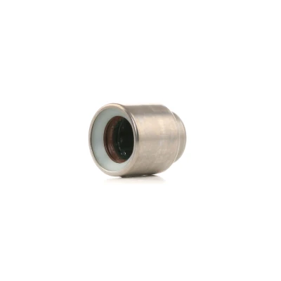 Bilde av SACHS 1863 869 005 Styrelager, clutch AUDI: A6 C4 Avant, A4 B5 Cabriolet B4, VOLKSWAGEN: Passat GP Stasjonsvogn