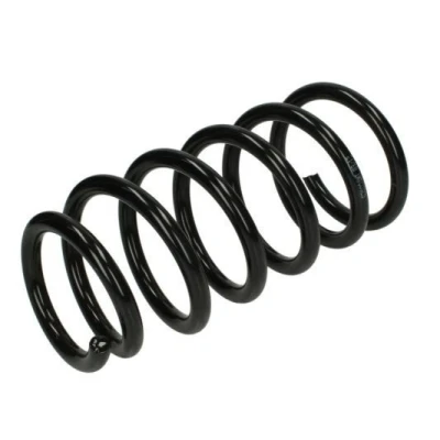 Bilde av Magnum Technology SZ8024MT Fjærer bakaksel