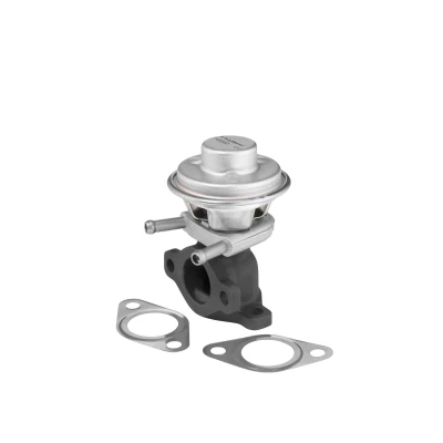 Bilde av WAHLER 712069D EGR Ventil pneumatisk FIAT: Ducato III Van