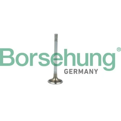 Bilde av Borsehung B19021 Innløpsventil AUDI: A4 B8 Avant, Allroad, Sedan, VOLKSWAGEN: Transporter 5 Bus, Multivan (7HM, Scirocco III