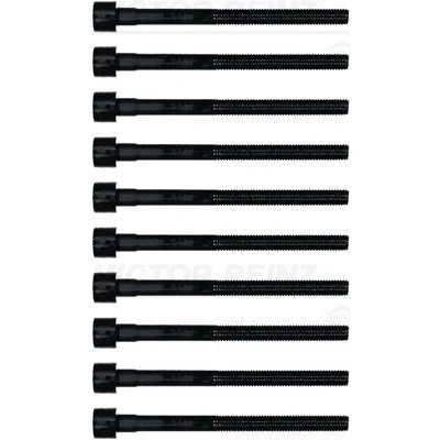 Bilde av REINZ 14 32378 01 Sylindertoppskrue innvendig sekskant NISSAN: Qashqai 2, RENAULT: Captur, DACIA: Duster SUV