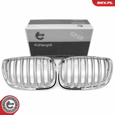 Bilde av ESEN SKV 66SKV279 Radiatorgitter krom BMW: X5