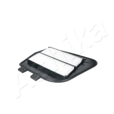 Bilde av Luftfilter, cadillac cts, 25728874, 25798270