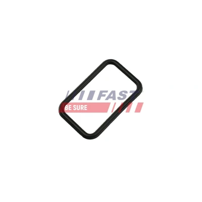 Bilde av FAST FT57407 Pakninger