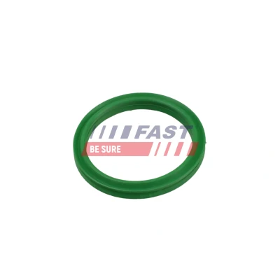 Bilde av FAST FT49936 Tetningsring, laseluftslange MERCEDES BENZ: A Klasse, NISSAN: Juke