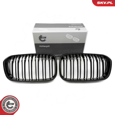 Bilde av ESEN SKV 66SKV021 Radiatorgitter glanset, svart BMW: 1 Hatchback