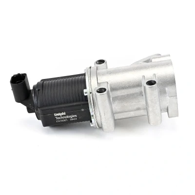 Bilde av DELPHI EG10301 12B1 EGR Ventil med tetning