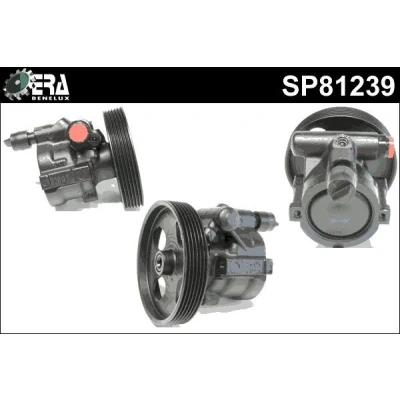 Bilde av ERA Benelux SP81239 Hydraulikkpumpe remskive presset på RENAULT: TRAFIC 2 Bus, Kasten