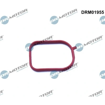 Bilde av DR.MOTOR AUTOMOTIVE DRM01955 Pakninger