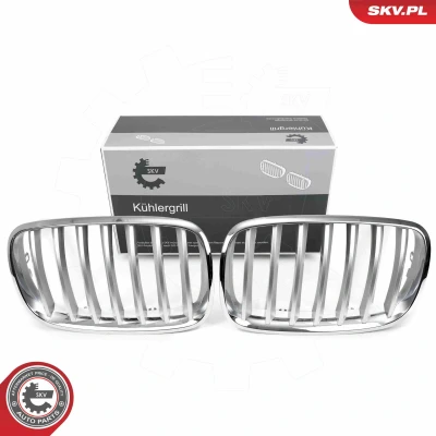 Bilde av ESEN SKV 66SKV285 Radiatorgitter krom BMW: X5