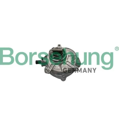 Bilde av Borsehung B18772 Vakuumpumpe AUDI: A4 B7 Avant, A6 C6 B6 Avant