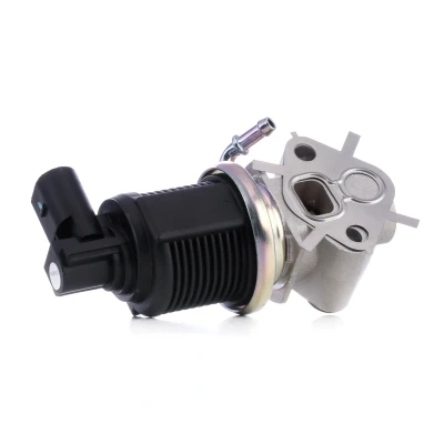 Bilde av MAGNETI MARELLI 571822112013 EGR Ventil VOLKSWAGEN: Caddy 3, Golf 5, Polo IV Hatchback, SKODA: Octavia 1 Combi, Fabia I Hatchback