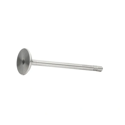 Bilde av Utløpsventil, seat,skoda,vw, 030109611T, 03D109611A, 30109611T, 3D109611A