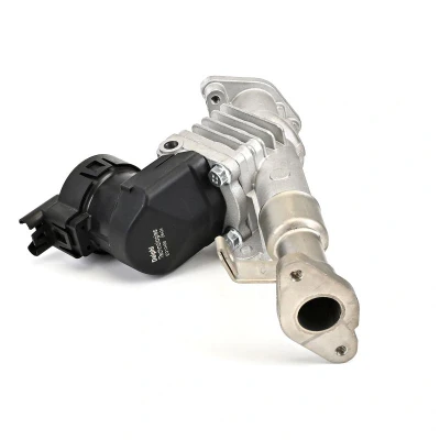 Bilde av EGR Ventil, bmw, 11717563241, 7563241