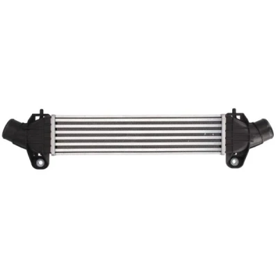 Bilde av THERMOTEC DAG009TT Ladeluftkjøler Aluminium, plast 412 X 91 85 mm