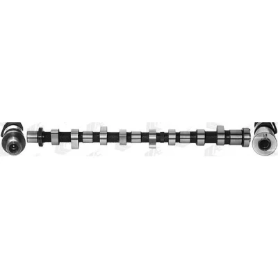 Bilde av AE CAM941 Kamaksel Eksosside NISSAN: Pathfinder 3
