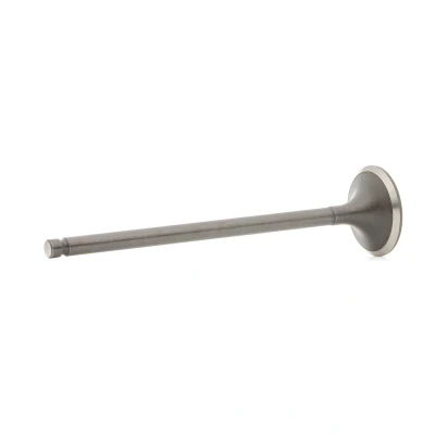 Bilde av Utløpsventil, nissan, 13202 ED000, ED00A, ED00C