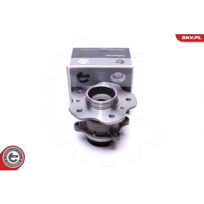 Bilde av Hjullagersett, Bakaksel, nissan qashqai suv ii, van renault kadjar, 432024EA0A, 43202 4EA0A