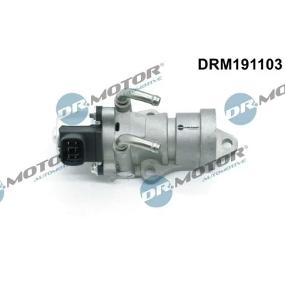Bilde av DR.MOTOR AUTOMOTIVE DRM191103 EGR Ventil elektrisk med tetning TOYOTA: RAV4 II SUV