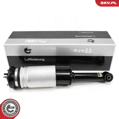 Bilde av Luftfjærbein, Framaksel, på begge sider, land rover discovery iii, iv, range sport i, LR016414, LR016415, LR016416, LR03