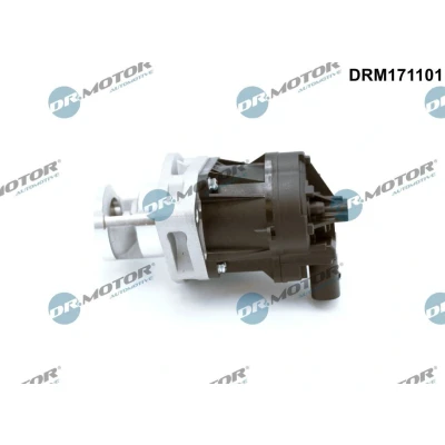 Bilde av DR.MOTOR AUTOMOTIVE DRM171101 EGR Ventil elektrisk