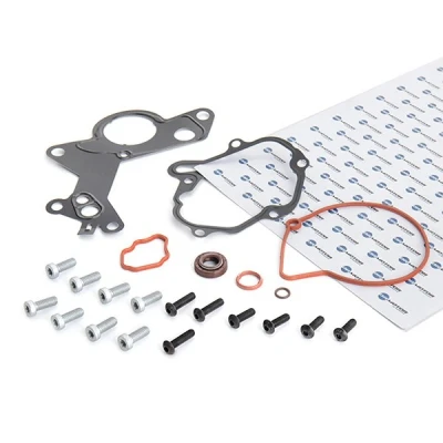 Bilde av DR.MOTOR AUTOMOTIVE DRM0210 Vakuumpumpe reparasjonssett VOLKSWAGEN: Transporter 5, Passat B6 Variant, Multivan 5 (7HM, AUDI: A4 B7 Avant, A3 Sportback