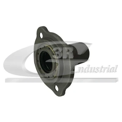 Bilde av 3RG 24905 Føringshylse, clutch ALFA ROMEO: 156 Sedan