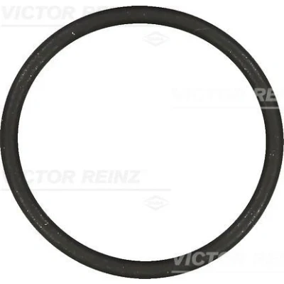 Bilde av REINZ 40 76854 00 Innsugspakning FPM (fluor kautsjuk) VOLKSWAGEN: Golf 5, Caddy 3, Touran I