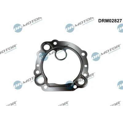 Bilde av DR.MOTOR AUTOMOTIVE DRM02827 Pakninger FORD: Transit Mk7 Van, Ranger Mk3