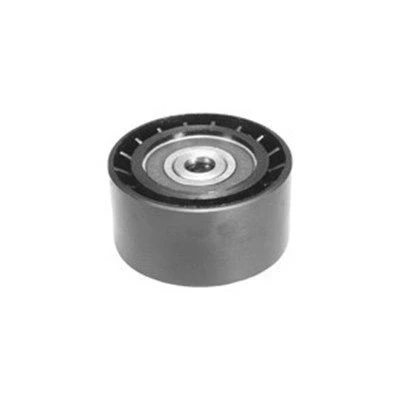 Bilde av MAGNETI MARELLI 331316170141 Styrerulle kilerem