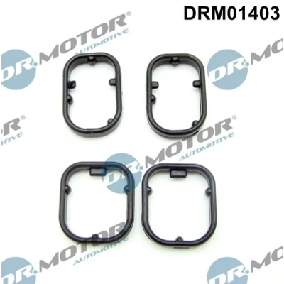 Bilde av DR.MOTOR AUTOMOTIVE DRM01403 Pakninger BMW: 3 Touring, X5, 5 Touring