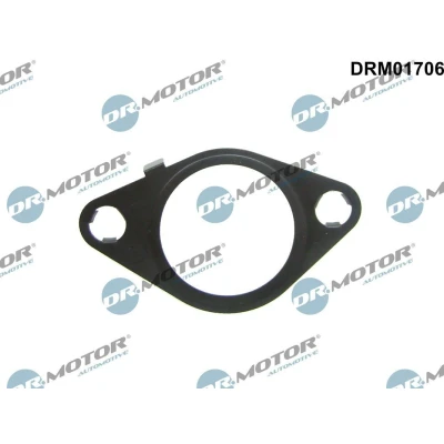 Bilde av DR.MOTOR AUTOMOTIVE DRM01706 Pakninger etter EGR kjøler FORD: MONDEO 4 Turnier