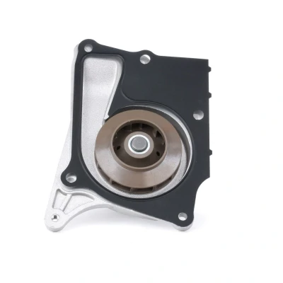 Bilde av INA 538 0095 10 Vannpumpe med tetning for tannremdrift RENAULT: MEGANE 3, Kangoo II Express, SCENIC NISSAN: Qashqai / Qashqai+2 I