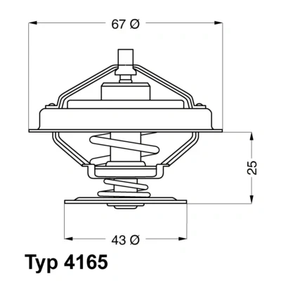 Bilde av WAHLER 4165.79D Termostat 79 med tetning
